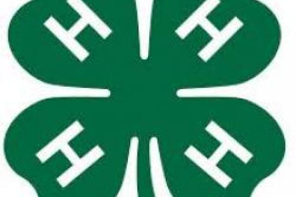 Staff contributed to Ohio 4-H Project Idea Starter about ASL